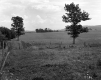 Grass Field