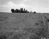Field with Fences
