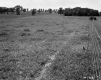 Field with Fence