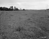 Wire Fence through Field