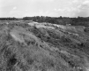 Grassy Slope