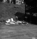 Defaced Traffic Signs