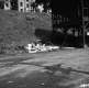 Defaced Traffic Signs