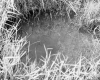 Close Up View of Spring