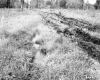 Rutted Field