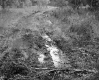 Rutted Field