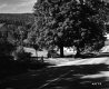 Houses on U.S. Route 7