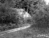 Forest Road