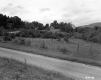 Fenced Pasture on Rural Road