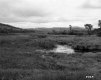 Swampy Meadow and Hills