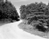 Dirt Road near Winooski Filtration Plant