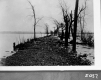 Sand Bar Bridge, Looking East