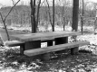 Concrete Picnic Tables on Route 117 in Jericho