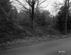 View toward Forest
