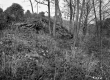 View toward Forest