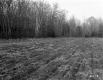 Tilled Fields and Forest