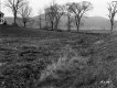 Farmstead and Pasture