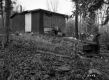 Camp in Woods