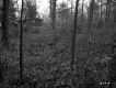 Camp in Woods
