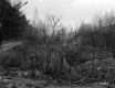 Gravel Pit, Looking East