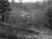 Gravel Pit, Looking West
