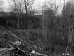 Debris in Forest