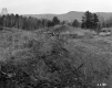 Gravel Pit and Junked Car, Looking North
