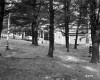 Allen House in Woods