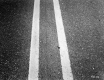 Section of Pavement on Route 107 in Bethel