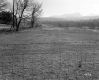 Fenced Pasture on U.S. Route 4