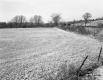 Fenced Pasture and Railroad Tracks
