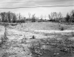 Fenced Pasture on U.S. Route 4