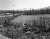 Fenced Pasture on U.S. Route 4