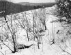 Snow-Covered Meadow