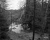 Utility Lines through Forest