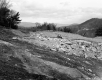 Bulldozer on Road Construction Site
