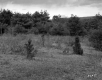 View toward Forest