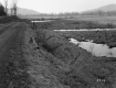 Simonds Property, Swampy Pasture