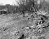 Banfill Property, Farm Field