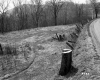 Banfill Property, Pasture and Forest
