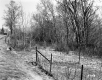Banfill Property, Forest View