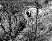 Banfill Property, Drainage Pipe