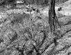 Banfill Property, Road Construction Site