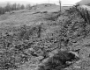 Young Property, Fieldstones in Pasture