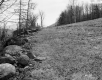 Young Property, Stone Wall and Pasture