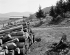 Young Property, Logging