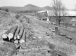 Young Farmstead