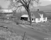 Young Farmstead