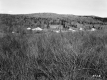 Fields and Hills along Route 100