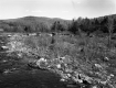 Creek through Rocky Field
